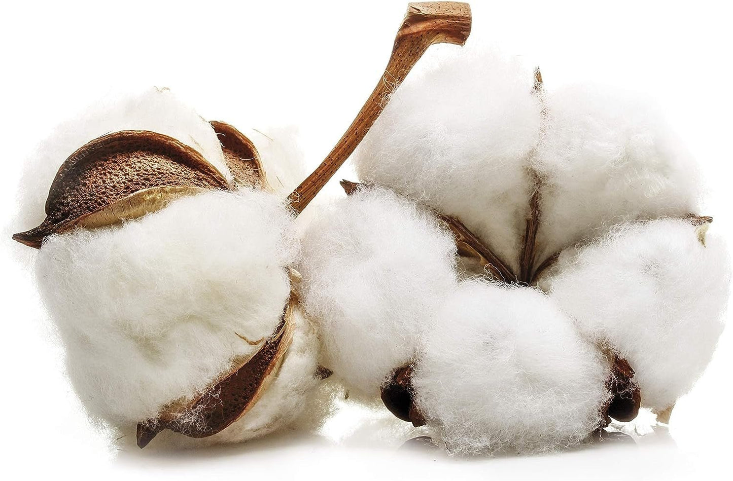 Masmi Discos Desmaquillar Masmi Natural Cotton 80 unidades-3