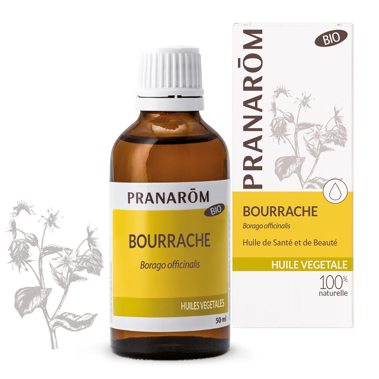 Pranarom Borraja Bio 50 ml-1