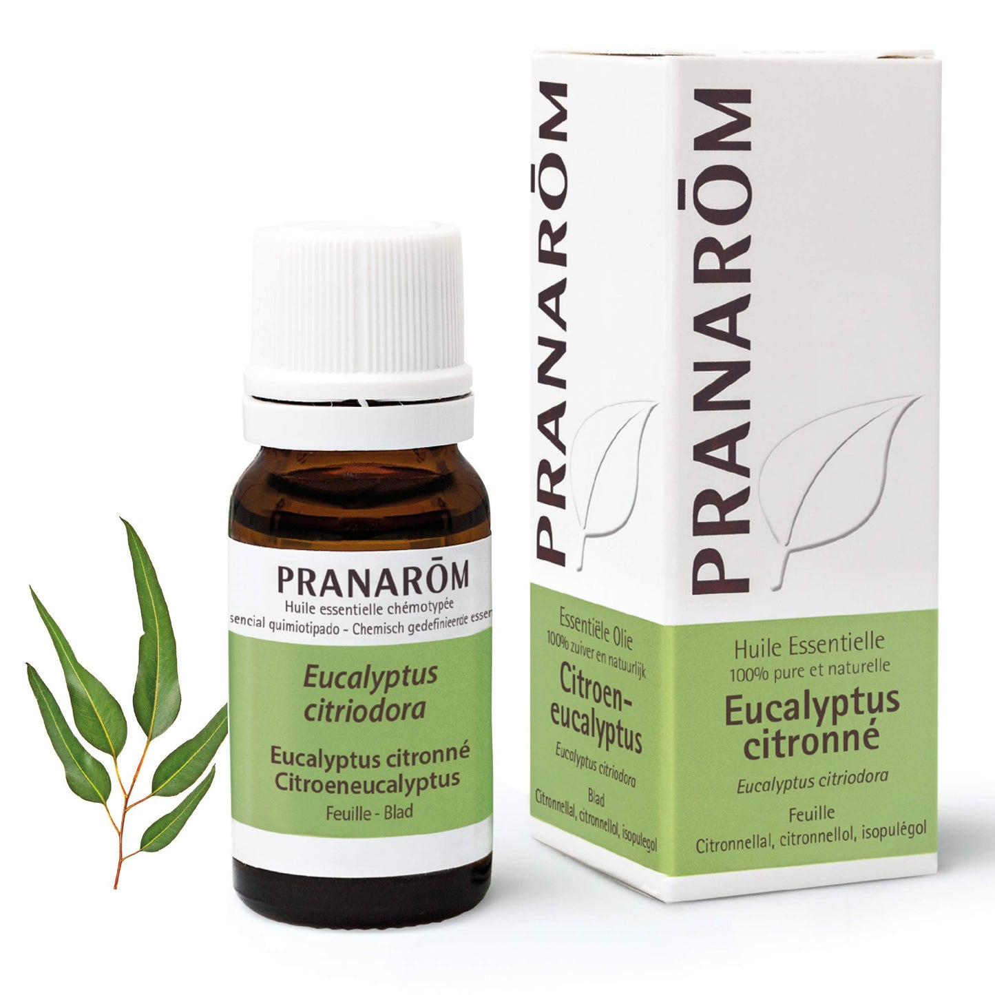 Pranarom Eucalipto Azul Hoja 10 ml-1