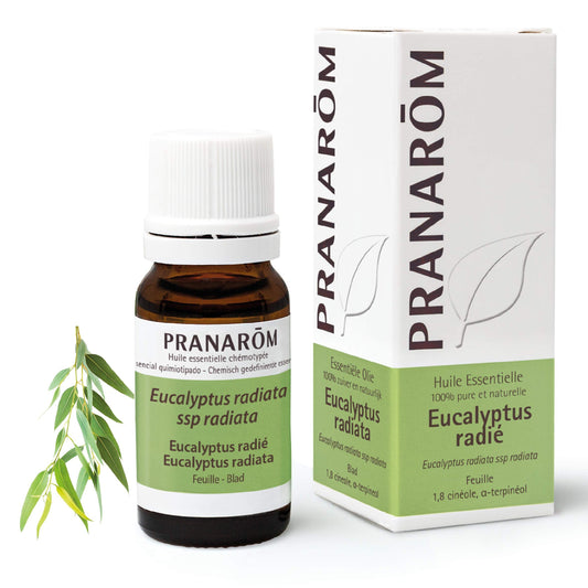 Pranarom Eucalipto Radiata Hoja 10 ml-1