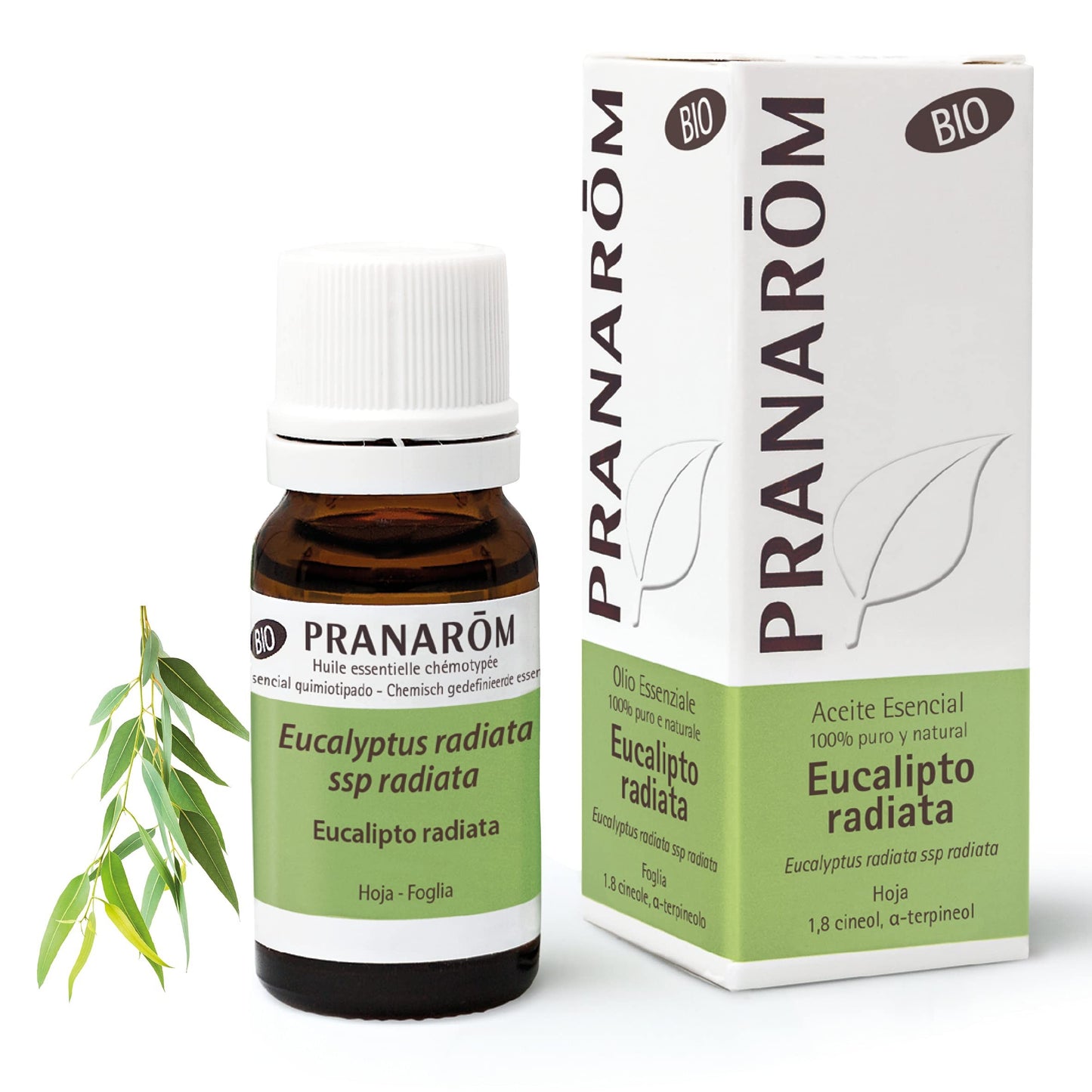 Pranarom Eucalipto Radiata Hoja Bio 10ml-1