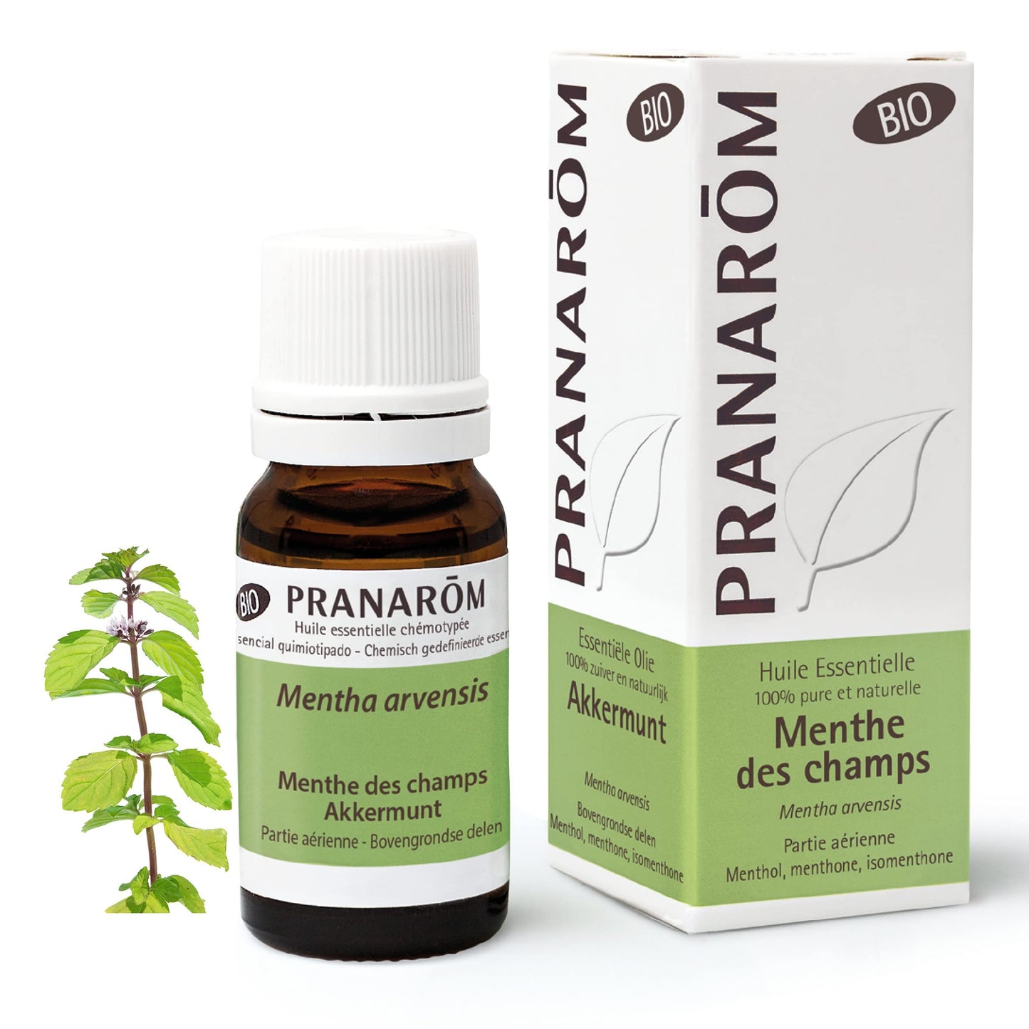 Pranarom Menta De Campo Partes Aereas Bio 10 ml-1