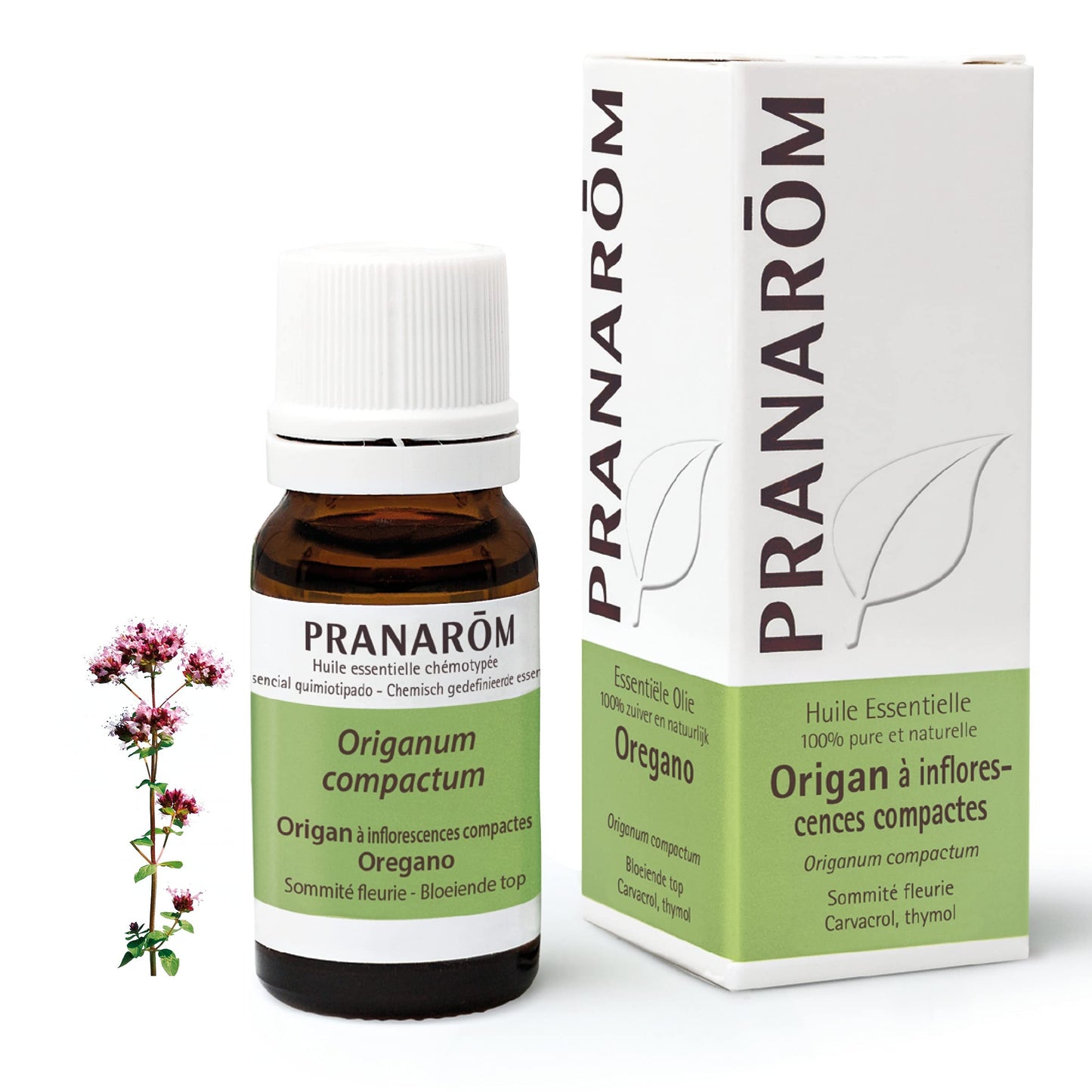 Pranarom Oregano De Inflorescencias Compactas 10 ml-1