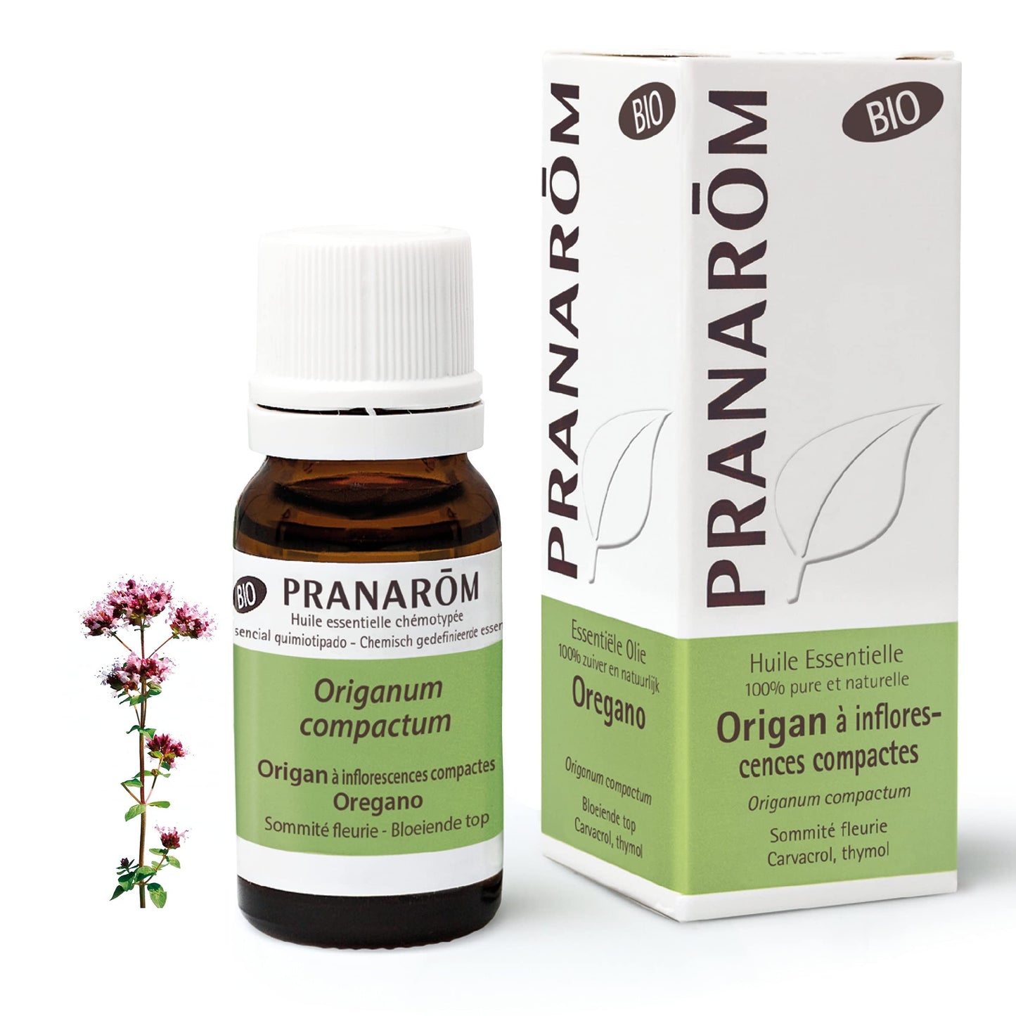 Pranarom Oregano De Inflorescencias Compactas Bio 10 ml-1