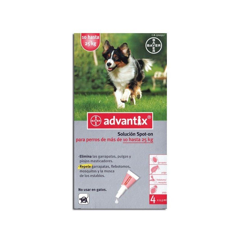 Product image for 19546