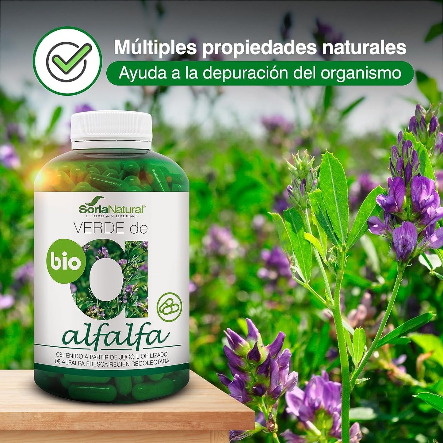 Soria Natural Verde Alfalfa 630 Mg 240 Cápsulas-2
