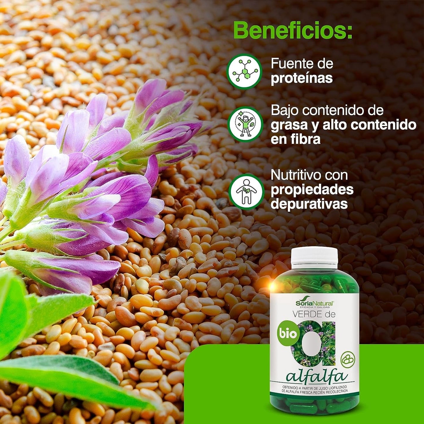 Soria Natural Verde Alfalfa 630 Mg 240 Cápsulas-4