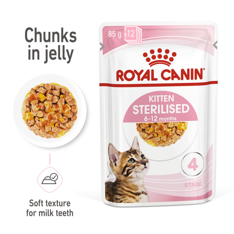 Product image for 16822