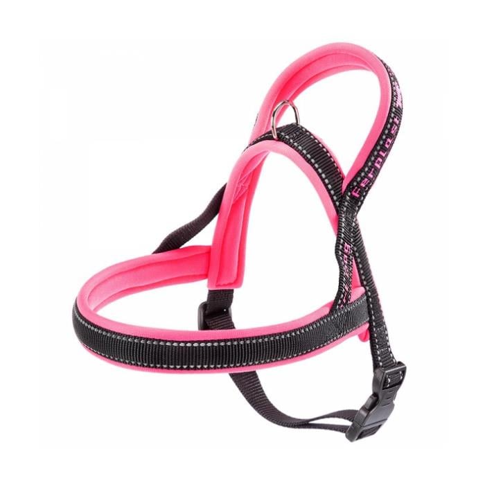 Product image for 11079