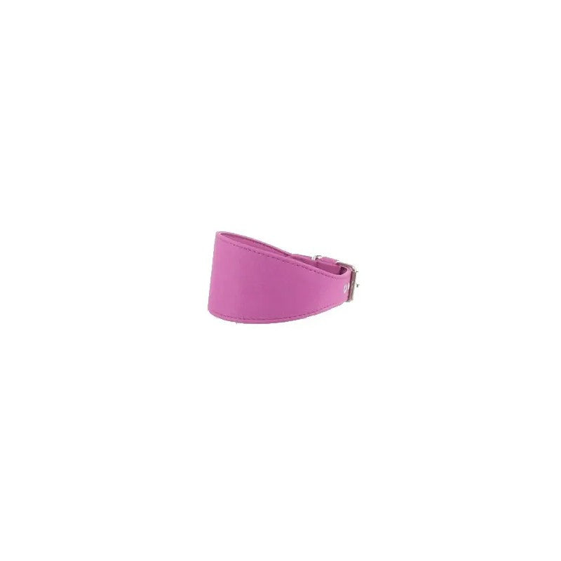 Product image for 17363