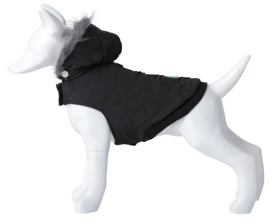 Product image for 15889