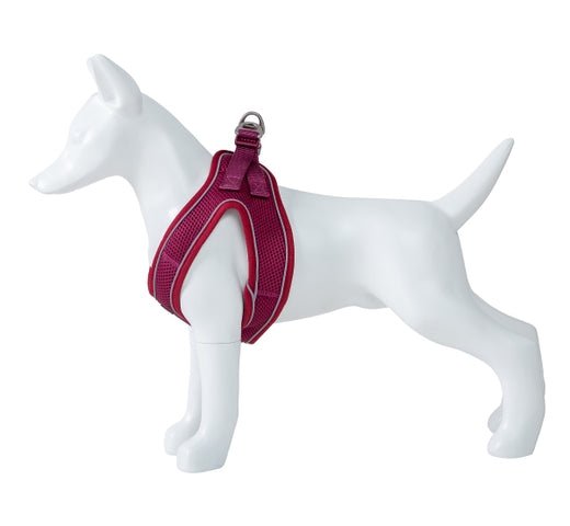 Product image for 16436