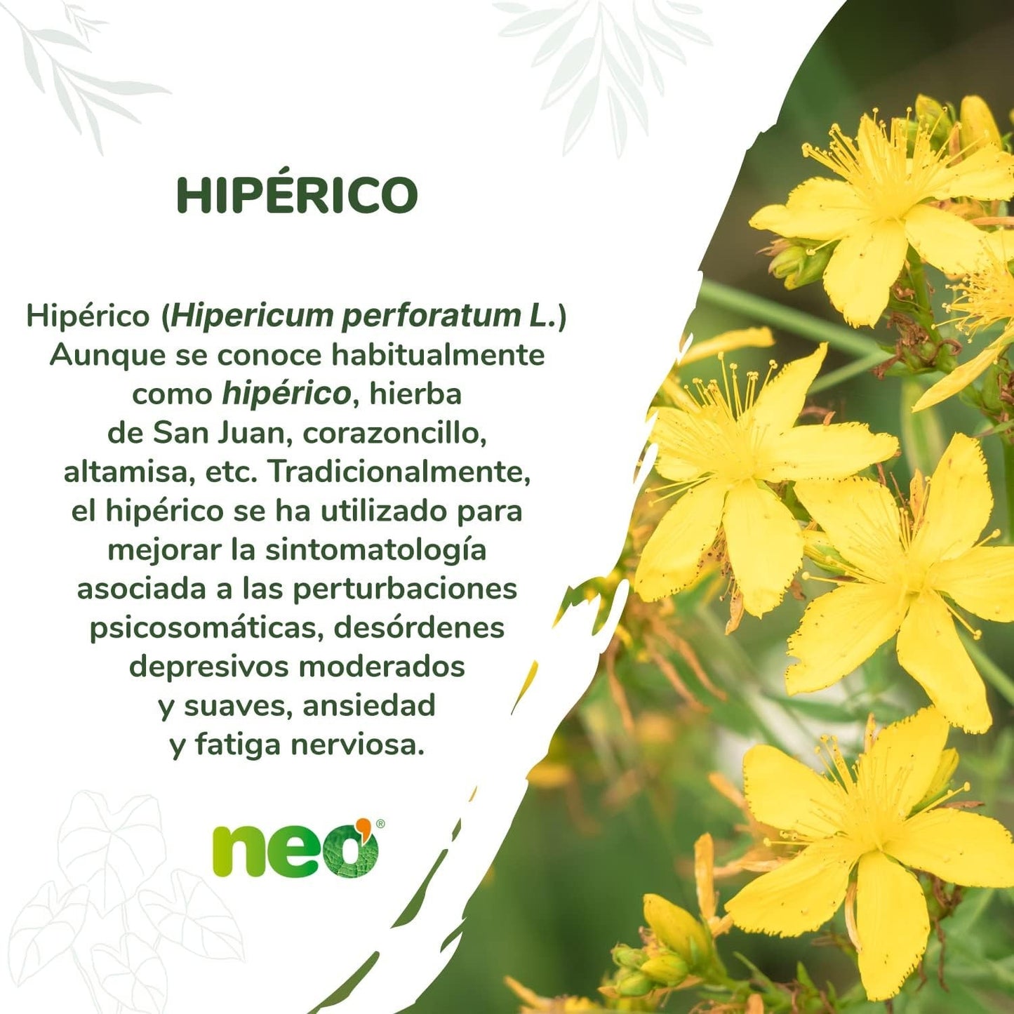 Neo Fitogranulos Hiperico 45 Cápsulas-2