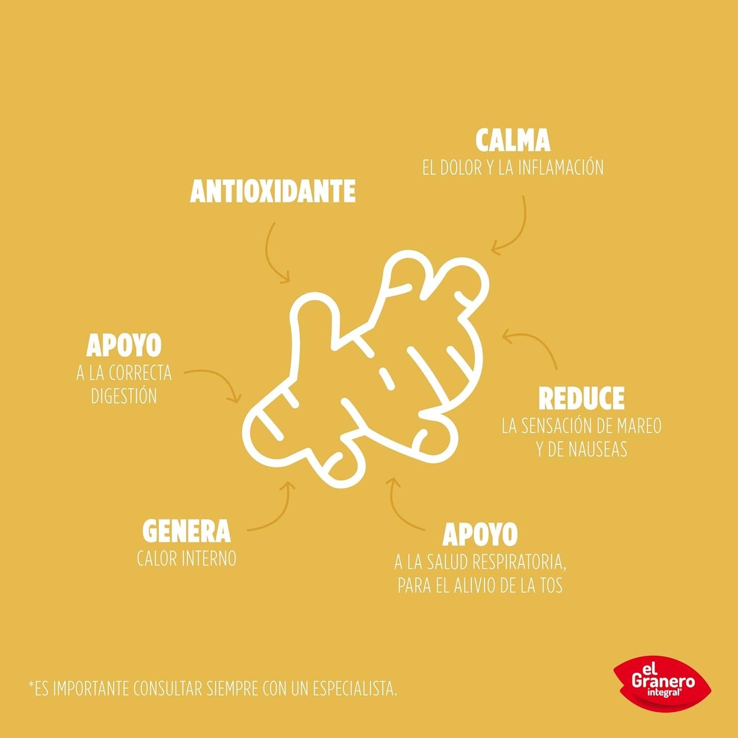 El Granero Integral Jengibre Polvo Bio 150 g-2