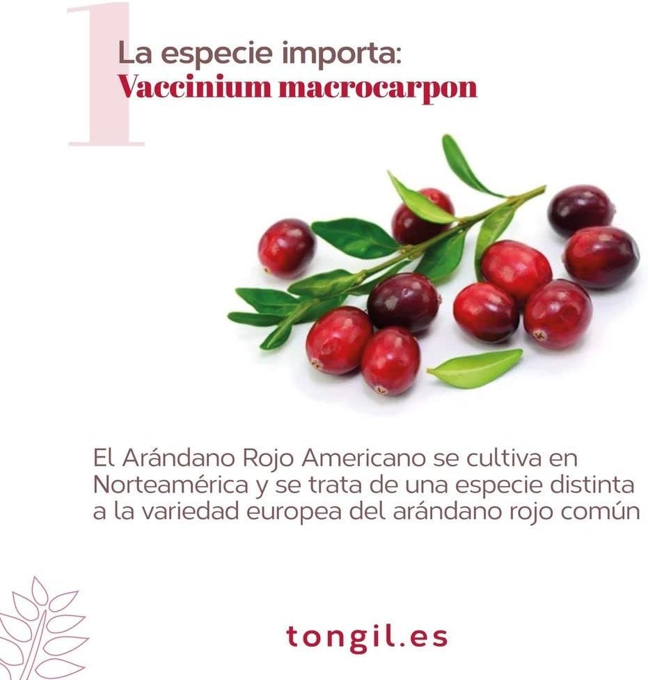 Tongil Estado Puro Cranberry Comprimidoslex 30 Vcaps-3