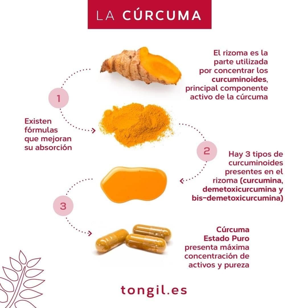Tongil Estado Puro Curcuma 80 Cápsulas-4