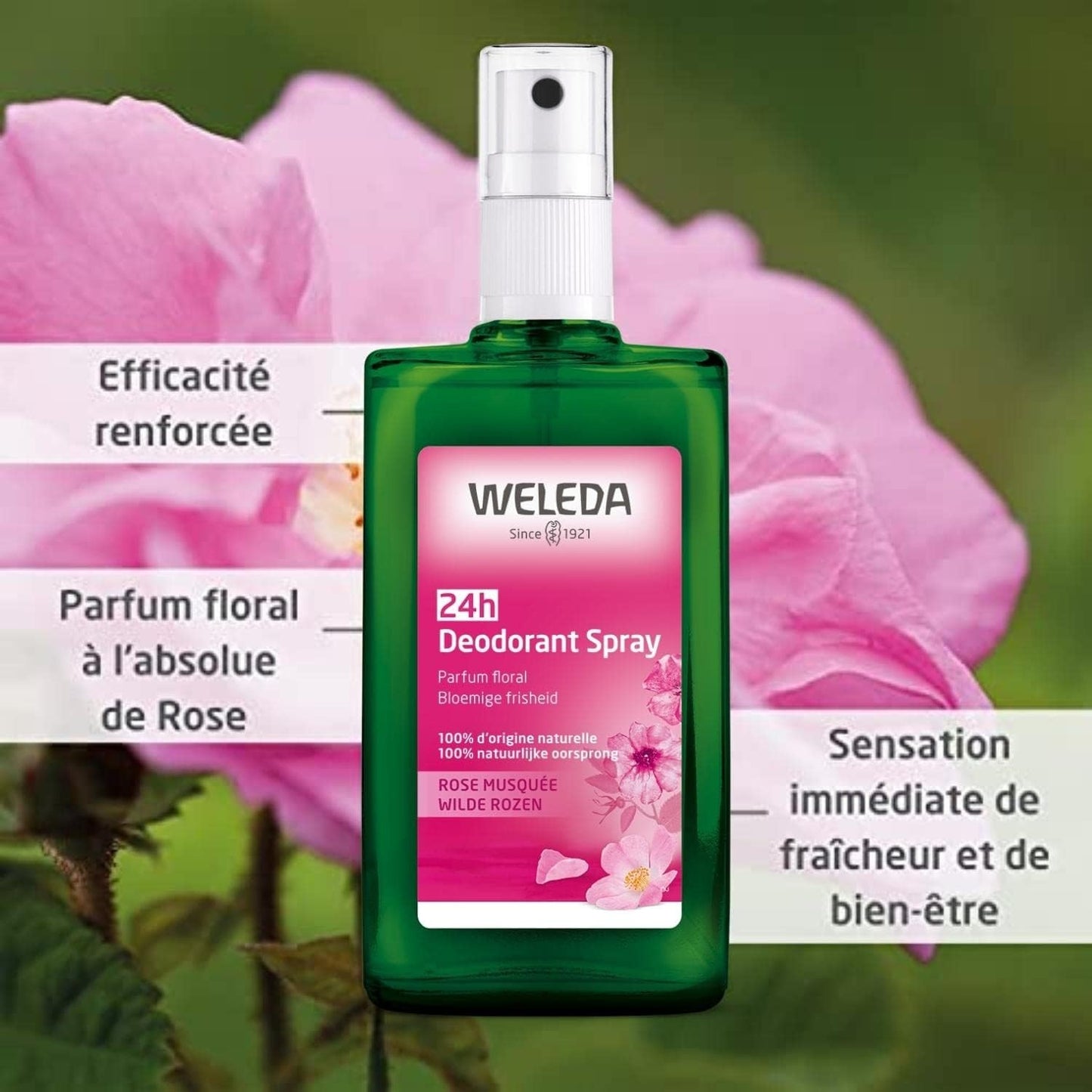 Weleda Cosmética Desodorante de Rosa 100 ml-2
