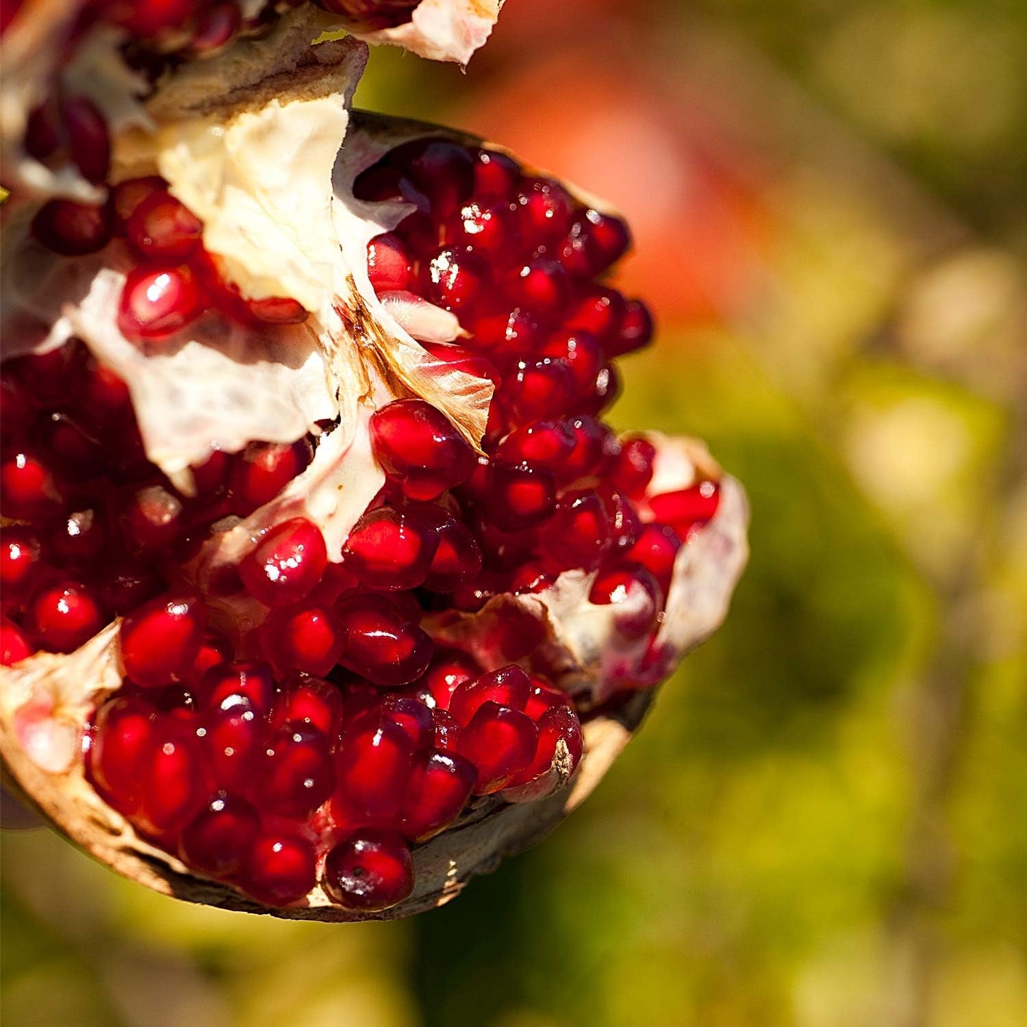 Weleda Cosmética Leche Corporal Regeneradora de Granada 200 ml-4