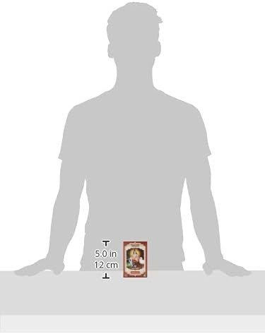 Radhe Shyam Spiritual Sky Henna Castaño Oscuro Polvo 100 g-5