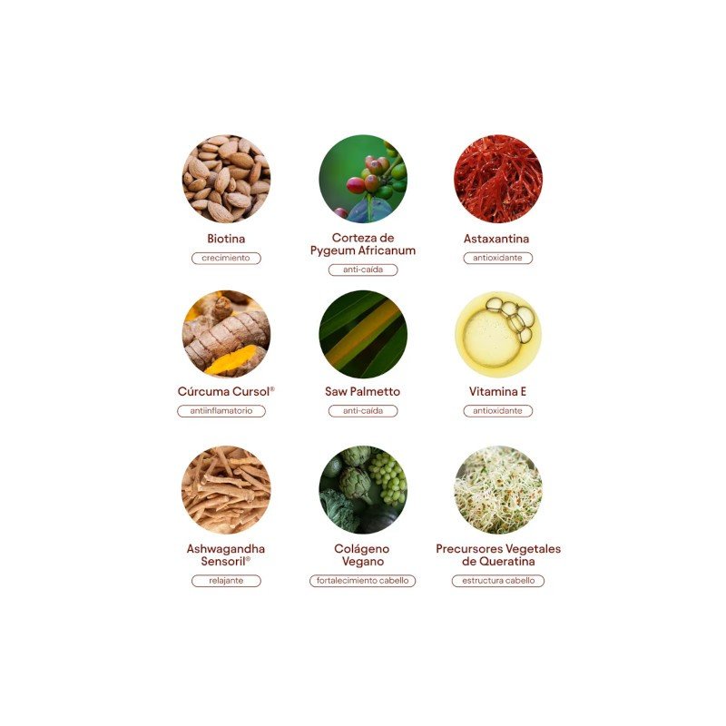 Olistic For Men 28 unidades-9