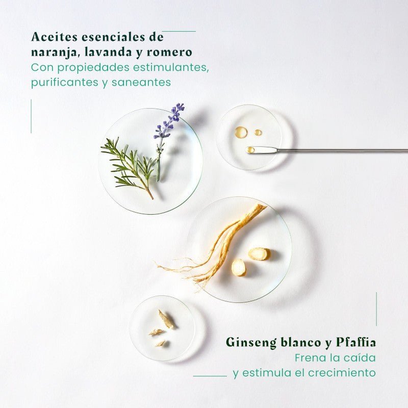 RENE FURTERER Triphasic Champú Estimulante Anticaída 200 ml-12