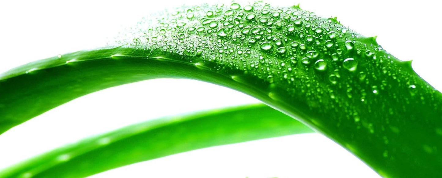 Sobio Agua Micelar Purificante Zinc-4