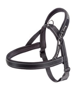 Product image for 15721