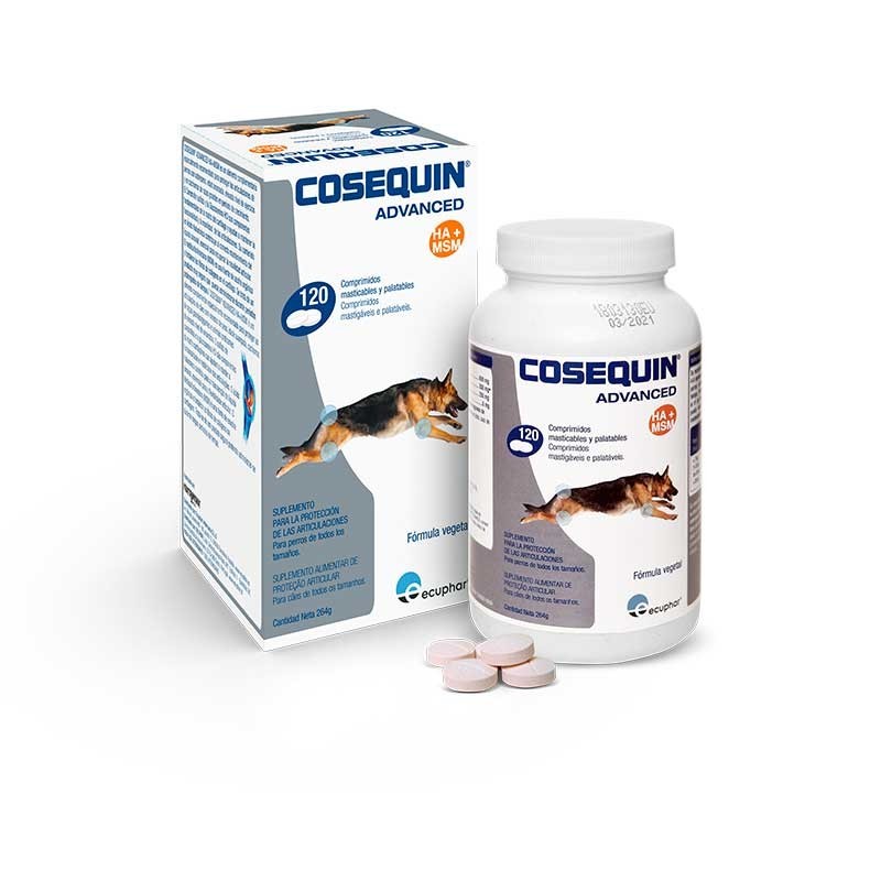 Product image for 8364