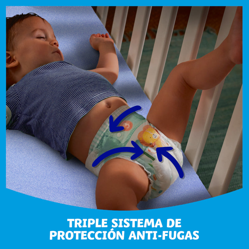 DODOT Bebé Seco Extra Jumbo Pack Talla 6 (48 uds)-6
