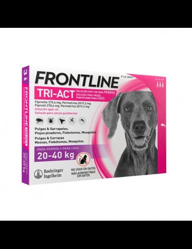 Product image for 19348