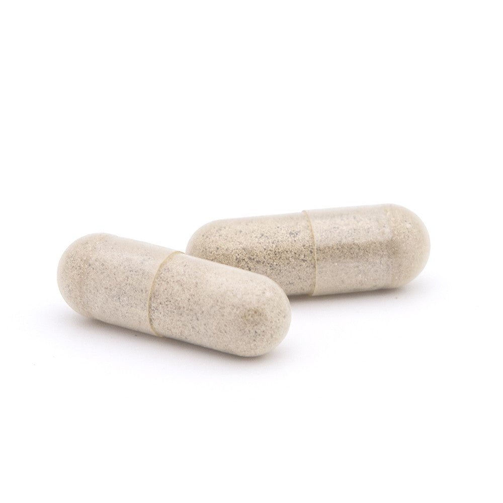 Plameca Capsudiet Ginkgo Biloba 40 cápsulas vegetales-4