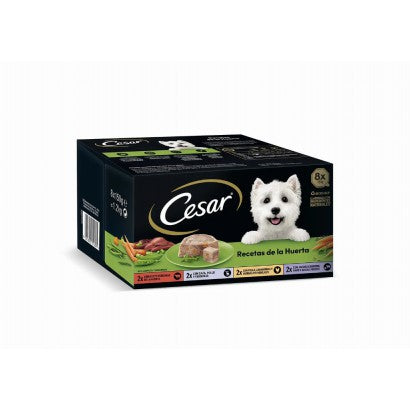 Product image for 13781