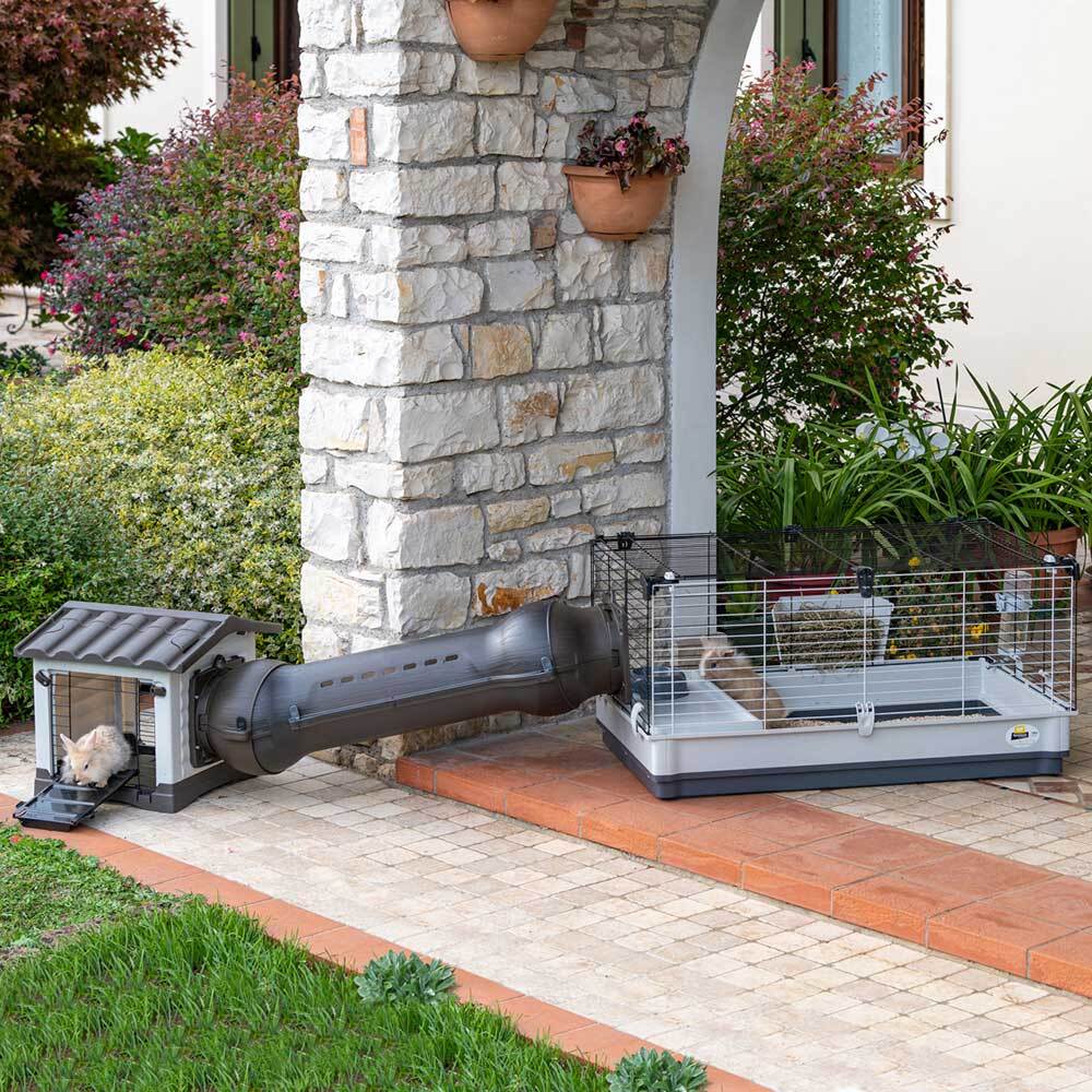 Product image for 15648