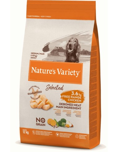 Product image for 11145