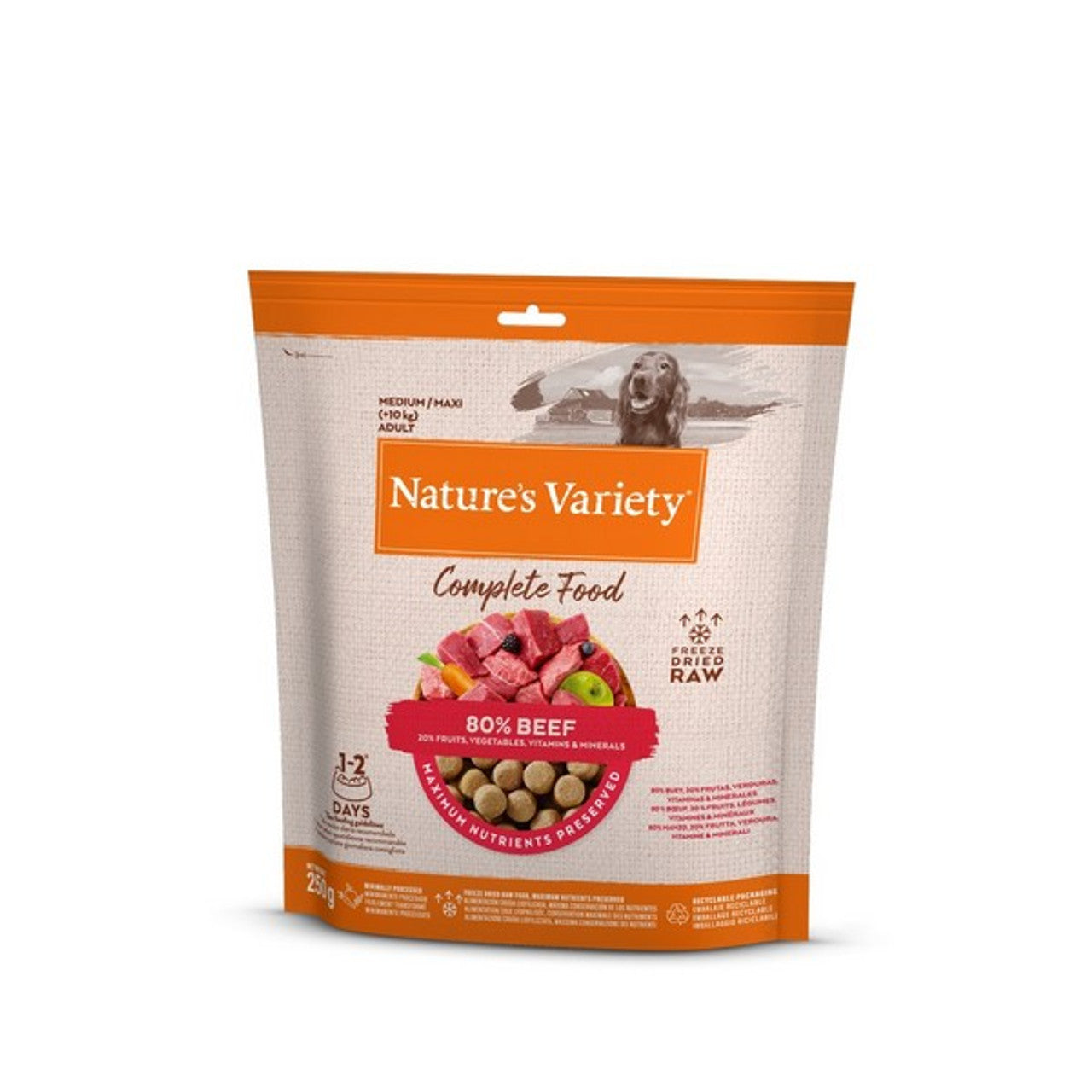 Product image for 13601