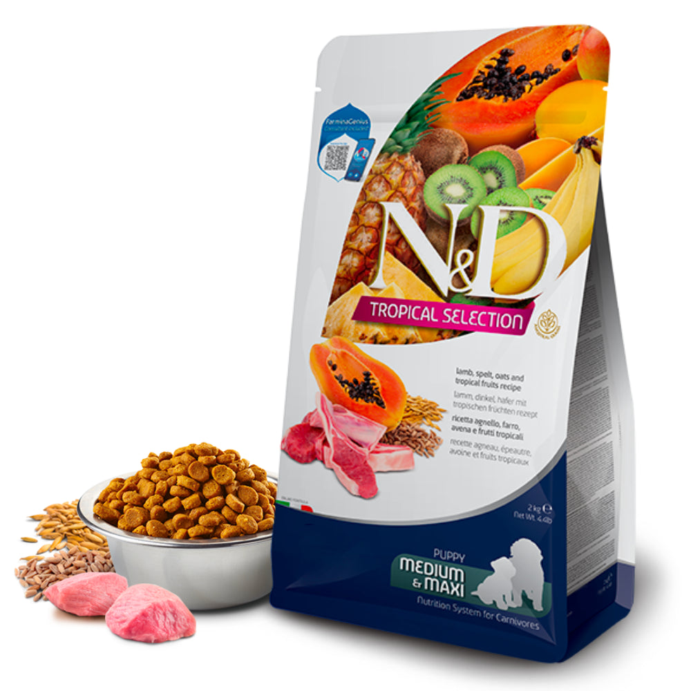 Product image for 13934