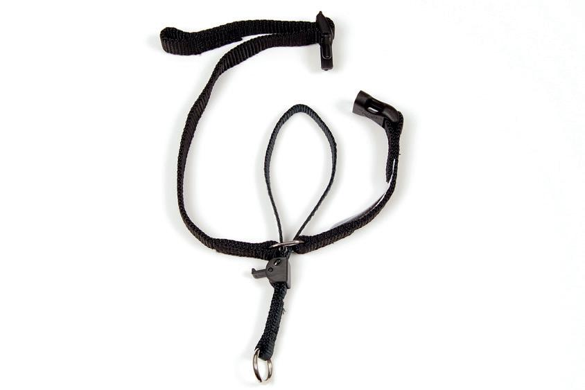 Product image for 11570