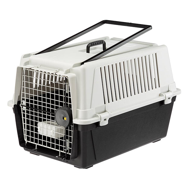 Product image for 11102