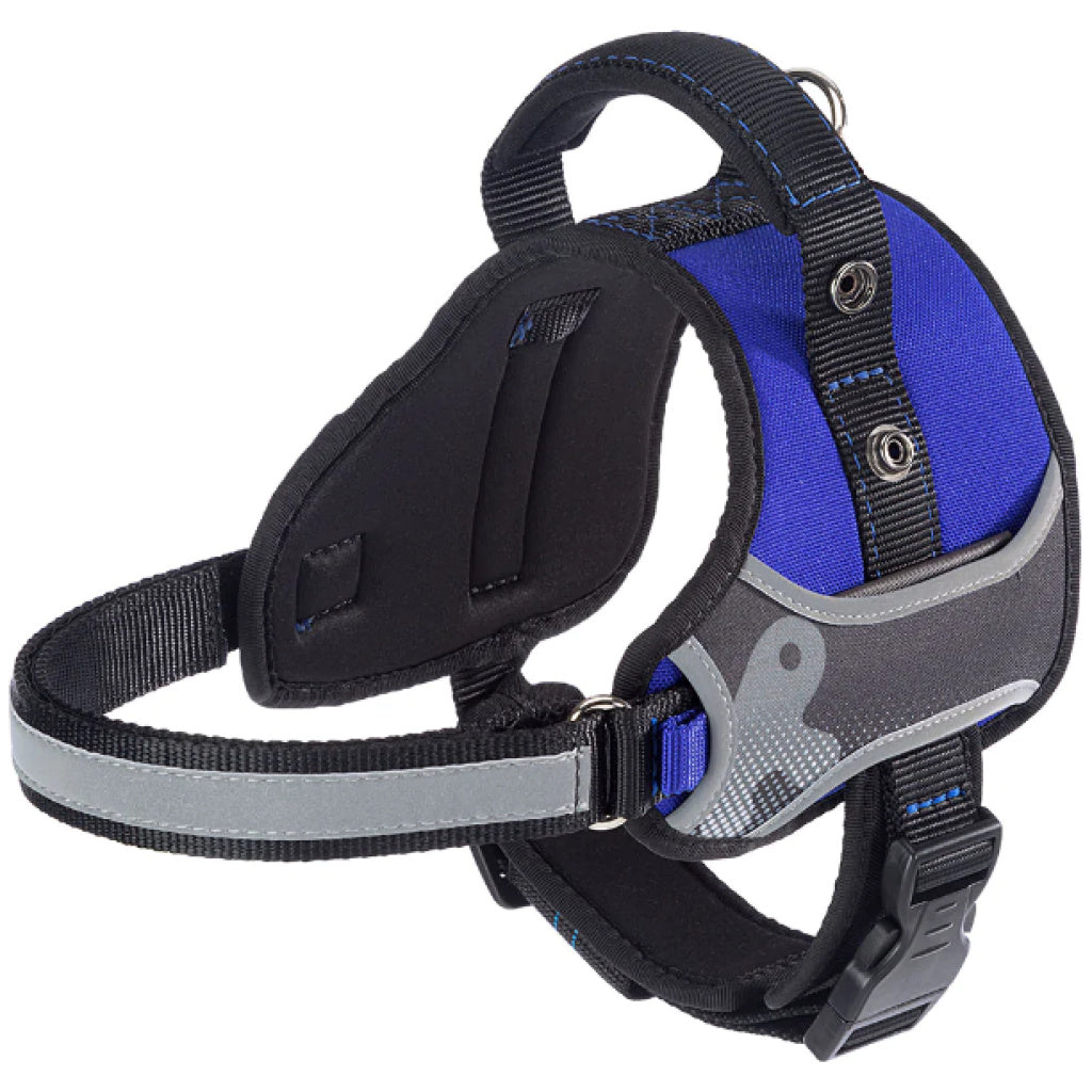 Product image for 15497