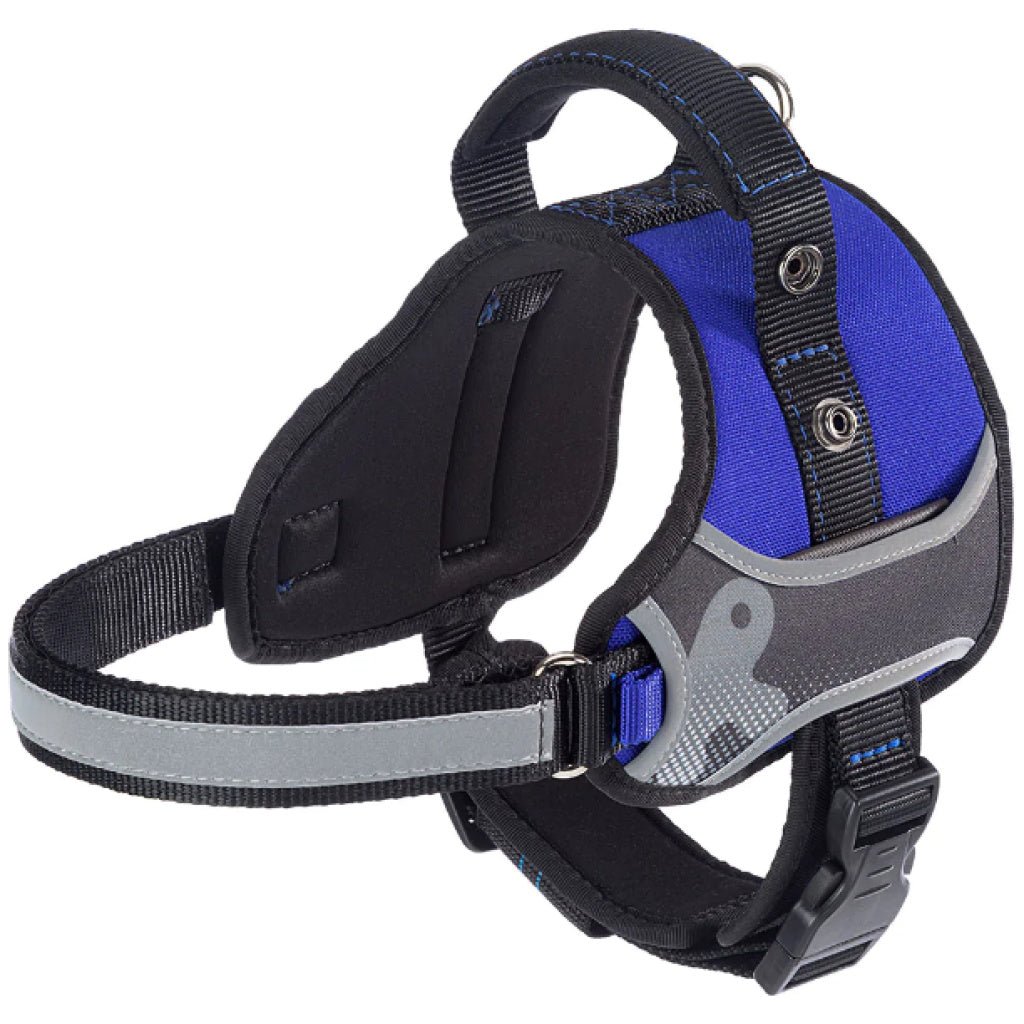 Product image for 15497