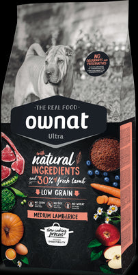 Product image for 10019
