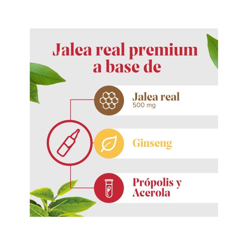 ARKOREAL Jalea Real Energía con Ginseng Sin Azúcar 500mg-3