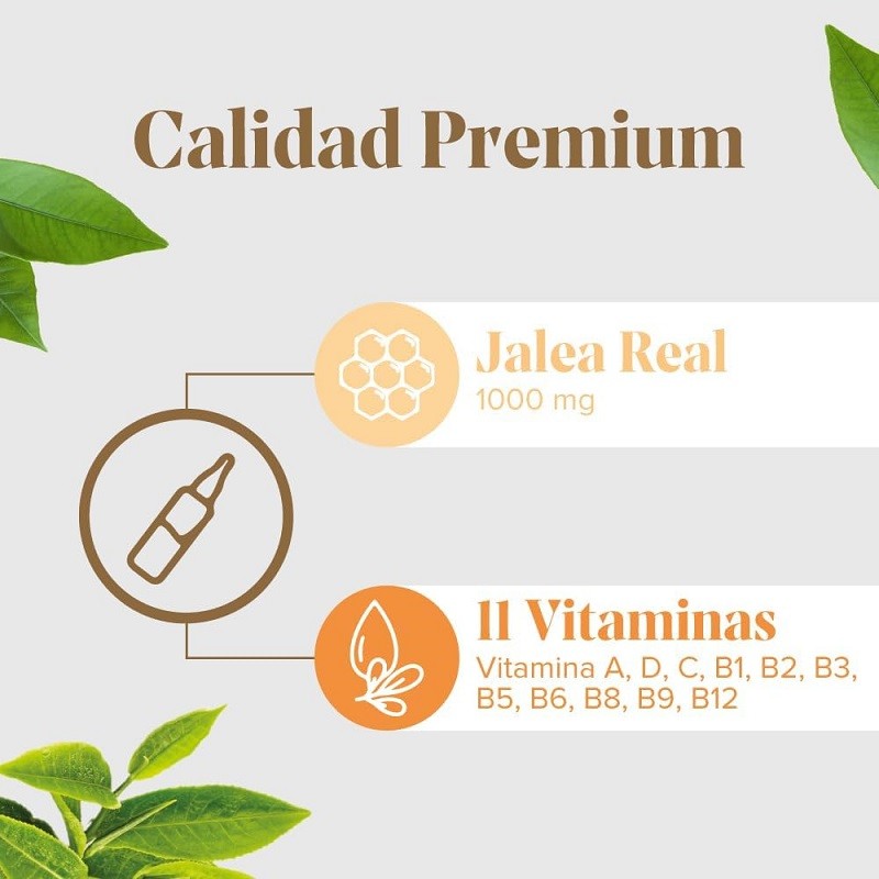 ARKOREAL Jalea Real Vitadefensas Sin Azúcar 1000mg-3