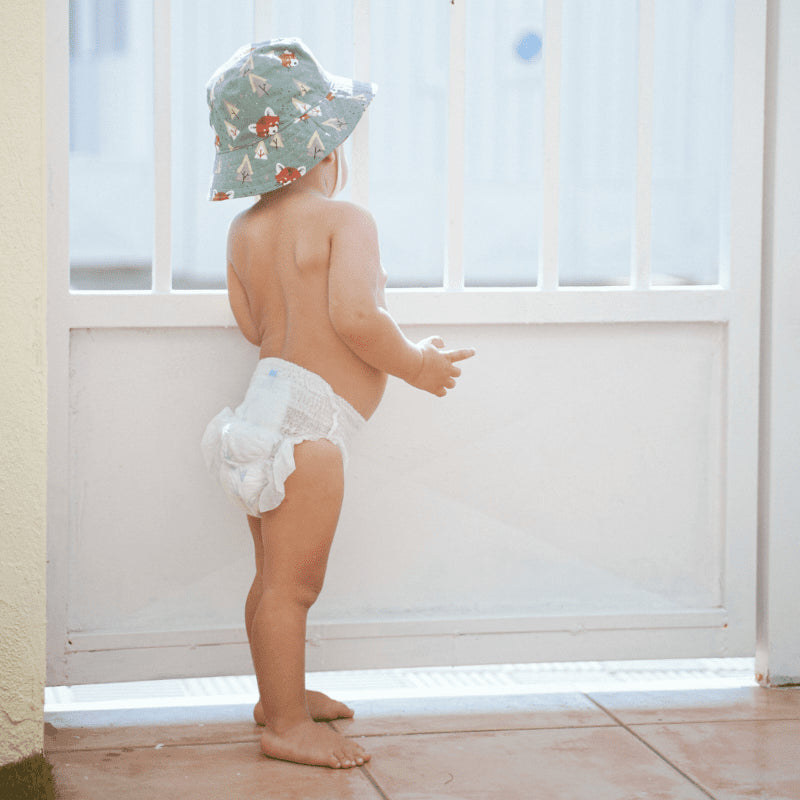 Pingo Pañales-Braguitas Ecológicos Talla 6 26 uds-6