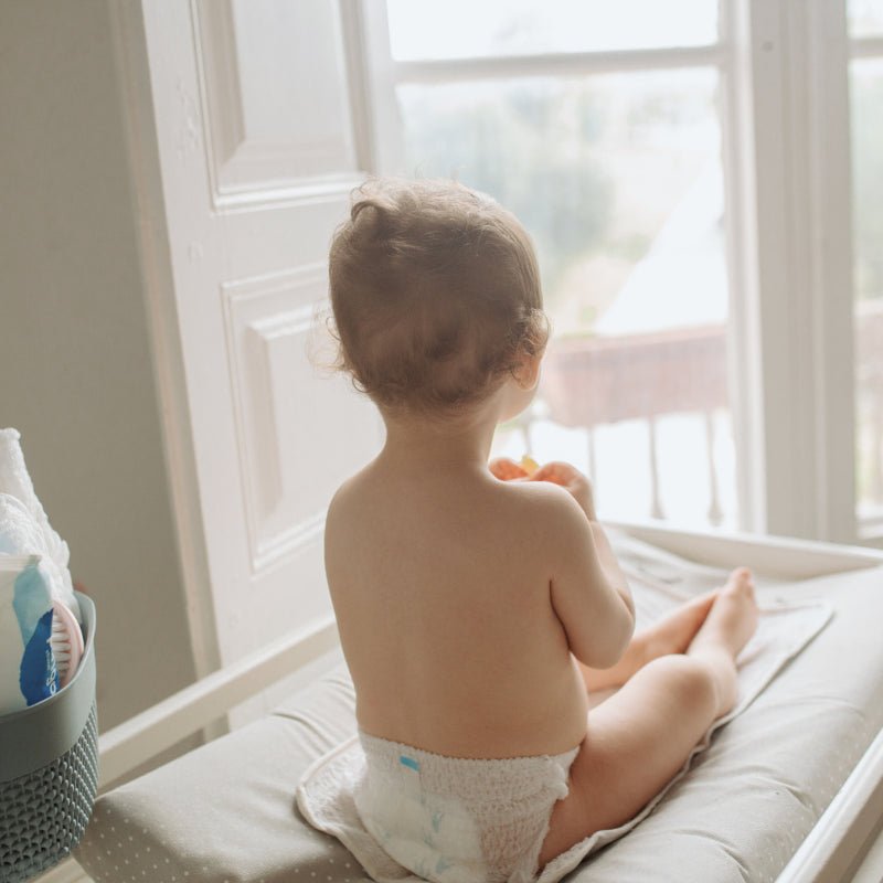 Pingo Pañales-Braguitas Ecológicos Talla 5 28 uds-6