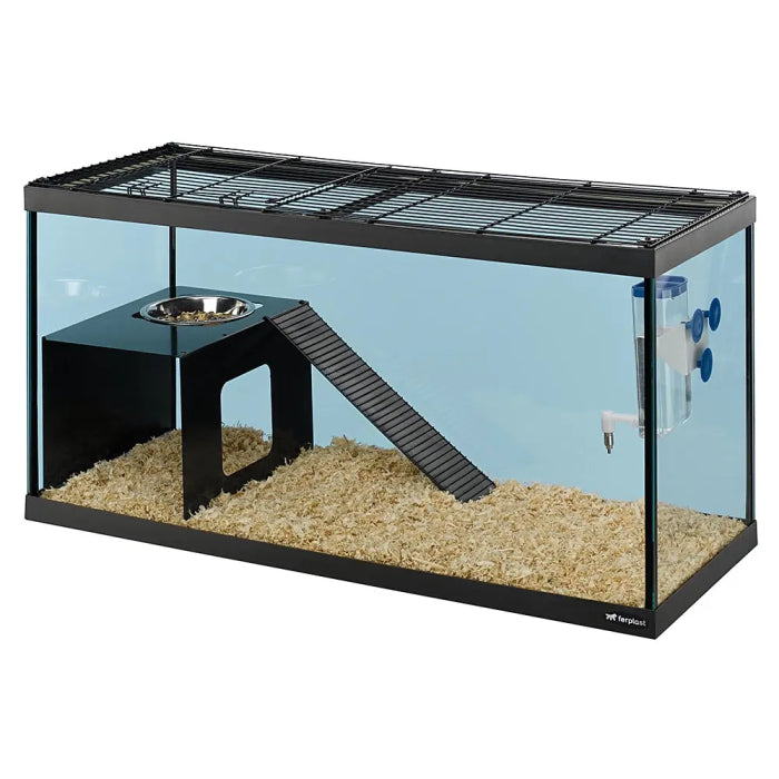 Product image for 15646