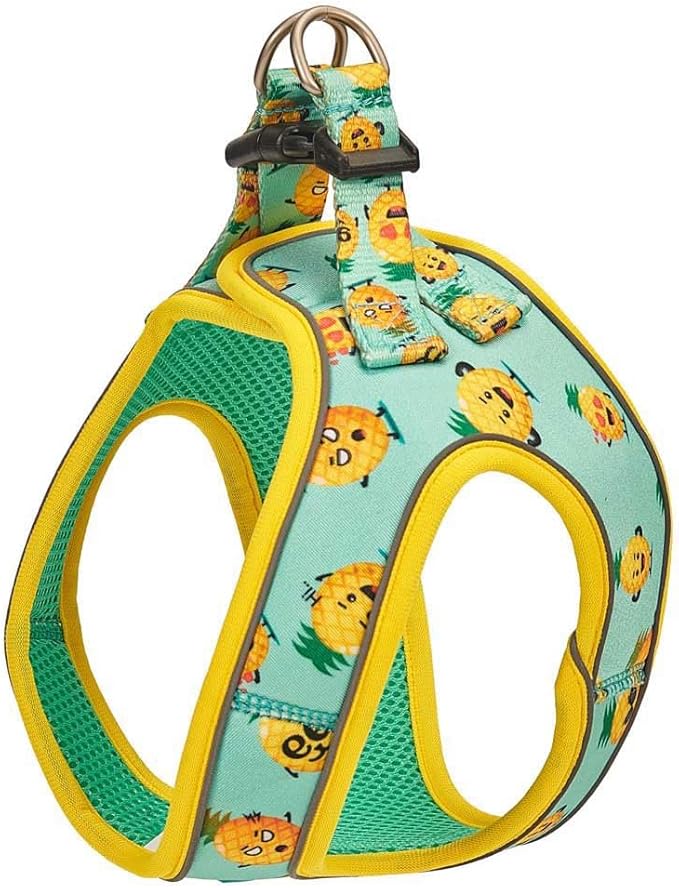 Product image for 11947