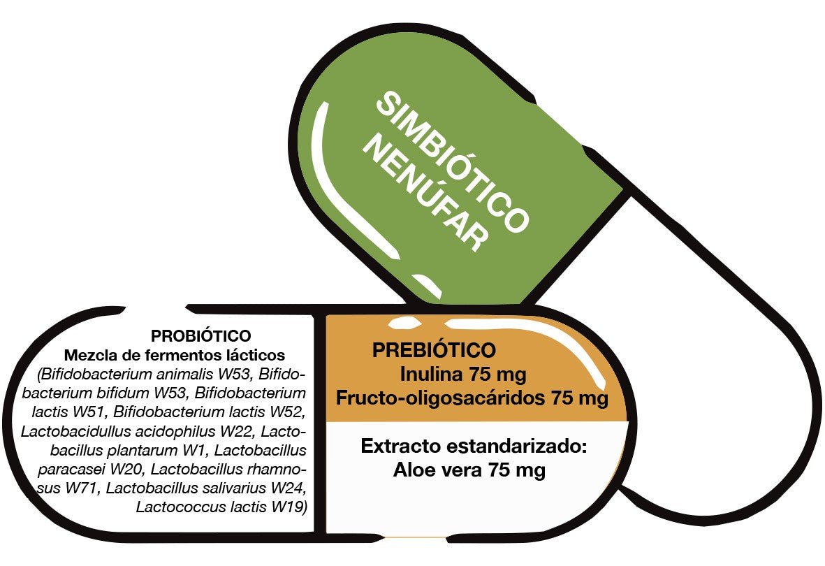 Bioserum Simbiótico Nenúfar Prebiótico+Probiótico 30 Cápsulas-2