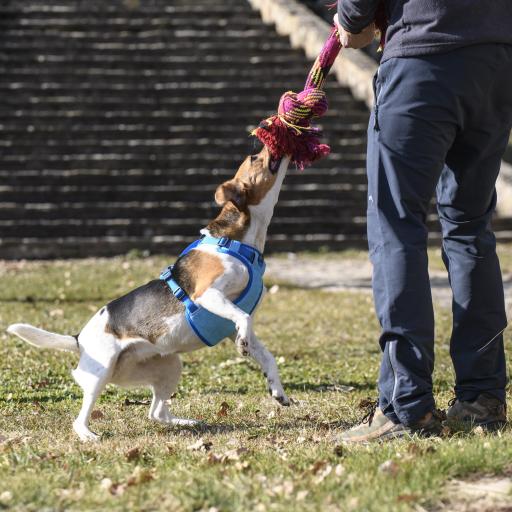 Product image for 15917