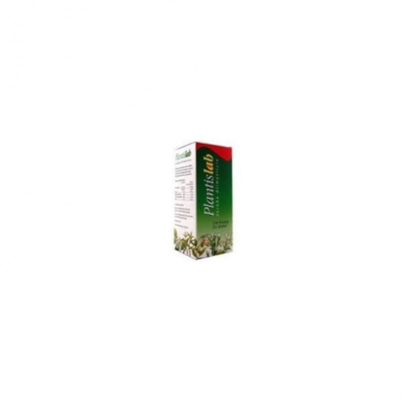 Plantis Plantislab Eco (Digestivo) Jarabe 250 ml-1